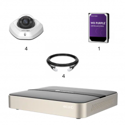 Kit vidéosurveillance 4 caméras | 1080P | IP PoE | 4 câbles RJ45 20/30/40/50 mètres | HDD 1 à 6 To | Dômes Milesight