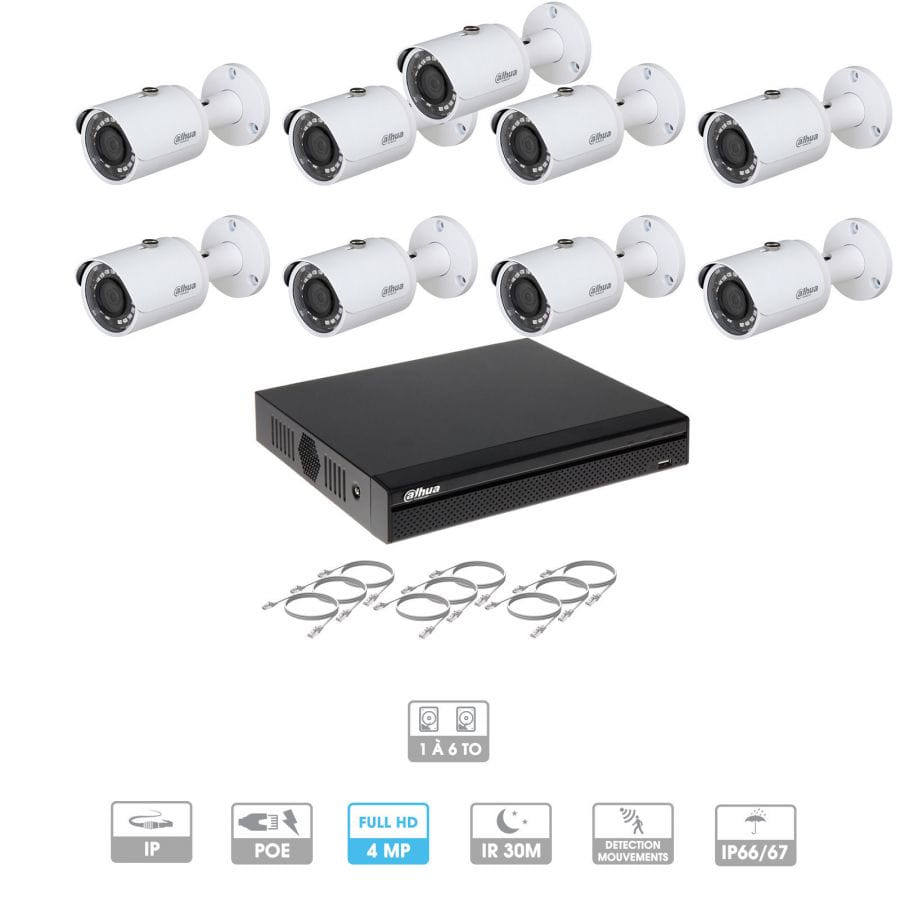 Kit vidéosurveillance 9 caméras | 4 MP | IP PoE | 9 câbles RJ45 20/30/40/50 mètres | 2 HDD 1 à 6 To | Tubes Dahua