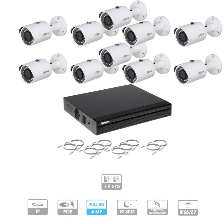 Kit vidéosurveillance 10 caméras | 4 MP | IP PoE | 10 câbles RJ45 20/30/40/50 mètres | 2 HDD 1 à 6 To | Tubes Dahua