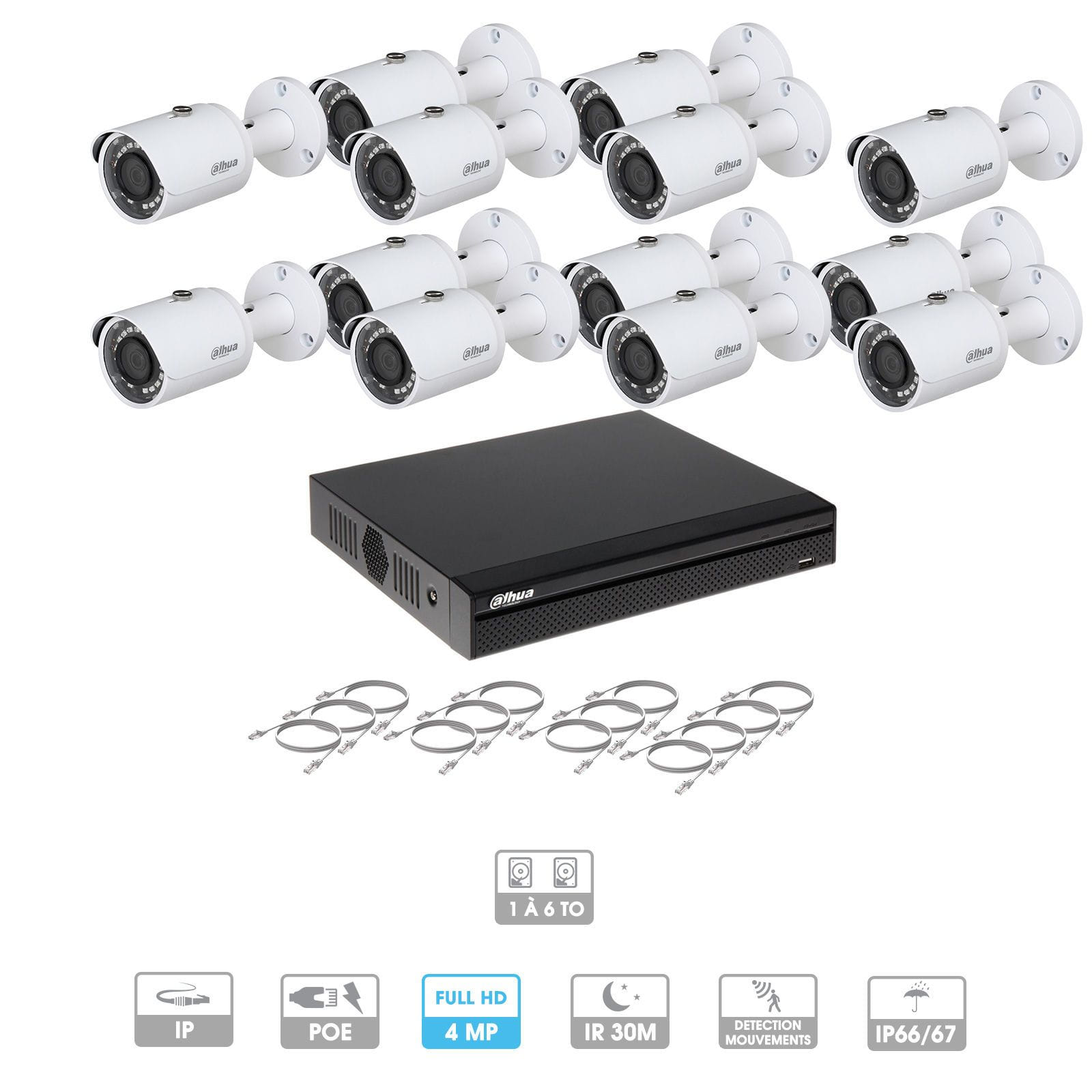 Kit vidéosurveillance 13 caméras | 4 MP | IP PoE | 13 câbles RJ45 20/30/40/50 mètres | 2 HDD 1 à 6 To | Tubes Dahua