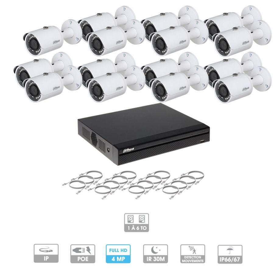 Kit vidéosurveillance 15 caméras | 4 MP | IP PoE | 15 câbles RJ45 20/30/40/50 mètres | 2 HDD 1 à 6 To | Tubes Dahua