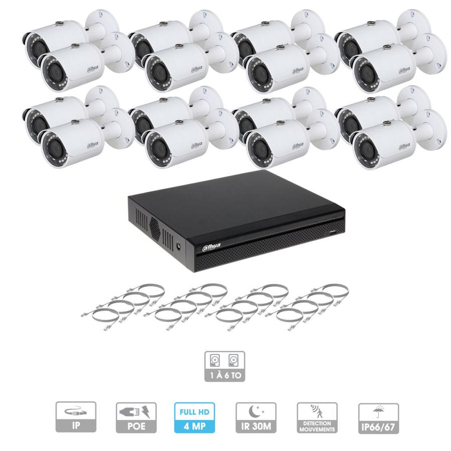 Kit vidéosurveillance 16 caméras | 4 MP | IP PoE | 16 câbles RJ45 20/30/40/50 mètres | 2 HDD 1 à 6 To | Tubes Dahua