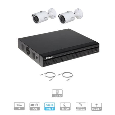 Kit vidéosurveillance 2 caméras | 2 MP | IP PoE | 2 câbles RJ45 20/30/40/50 mètres | 1 HDD 1 à 6 To | Tube Dahua