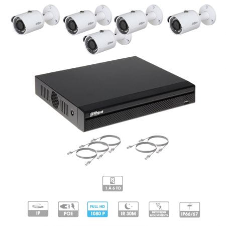 Kit vidéosurveillance 5 caméras | 2 MP | IP PoE | 5 câbles RJ45 20/30/40/50 mètres | 1 HDD 1 à 6 To | Tube Dahua