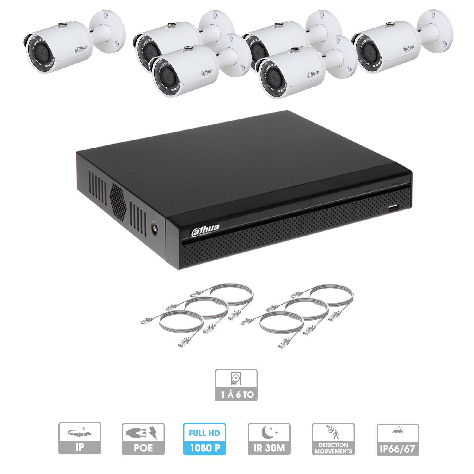 Kit vidéosurveillance 6 caméras | 2 MP | IP PoE | 6 câbles RJ45 20/30/40/50 mètres | 1 HDD 1 à 6 To | Tube Dahua