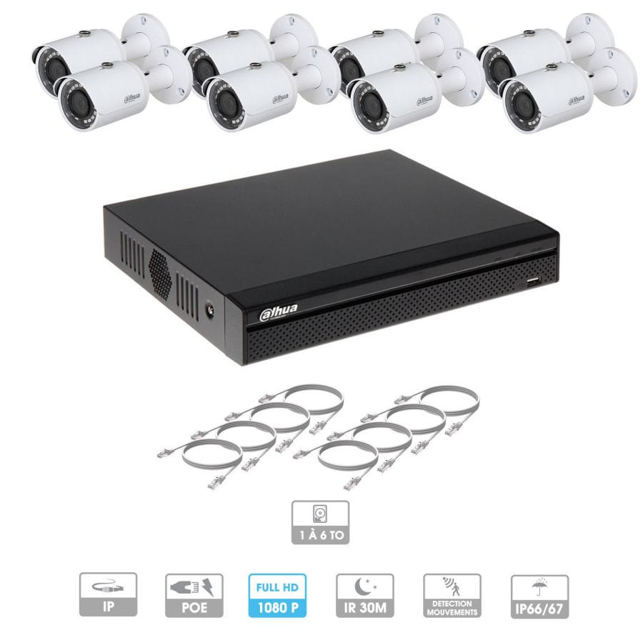 Kit vidéosurveillance 8 caméras | 2 MP | IP PoE | 8 câbles RJ45 20/30/40/50 mètres | 1 HDD 1 à 6 To | Tube Dahua