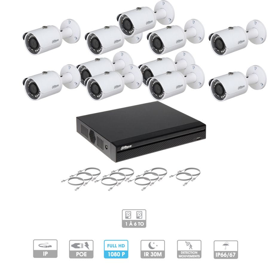Kit vidéosurveillance 11 caméras | 2 MP | IP PoE | 11 câbles RJ45 20/30/40/50 mètres | 2 HDD 1 à 6 To | Tube Dahua