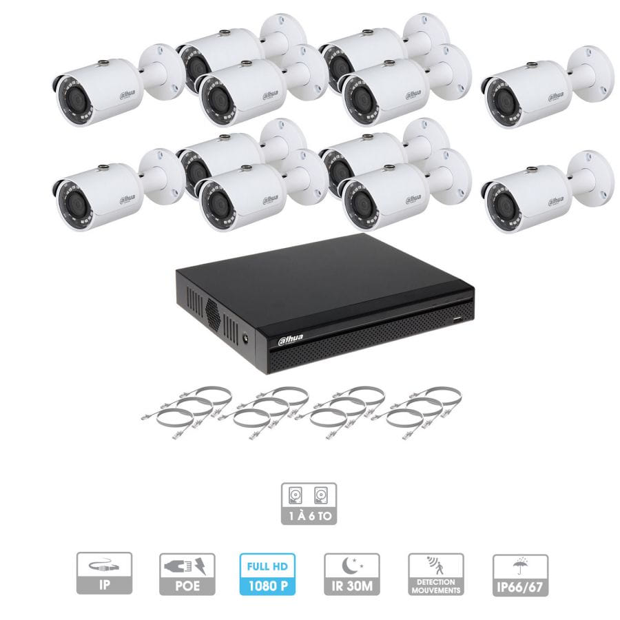 Kit vidéosurveillance 12 caméras | 2 MP | IP PoE | 12 câbles RJ45 20/30/40/50 mètres | 2 HDD 1 à 6 To | Tube Dahua