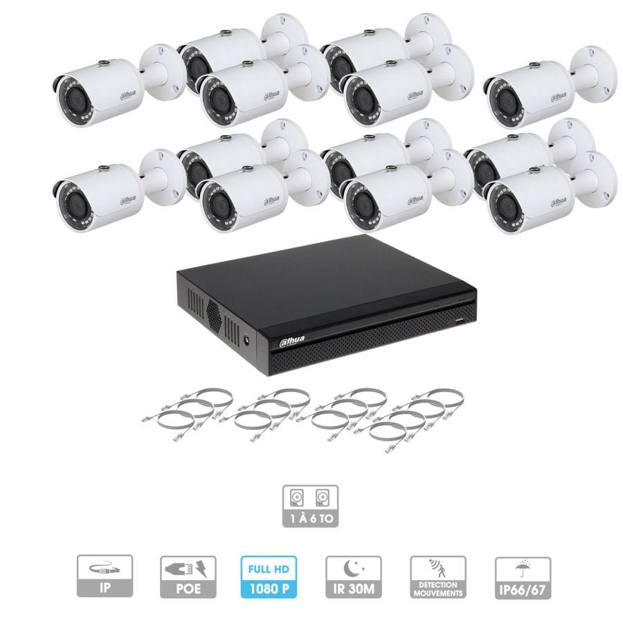 Kit vidéosurveillance 13 caméras | 2 MP | IP PoE | 13 câbles RJ45 20/30/40/50 mètres | 2 HDD 1 à 6 To | Tube Dahua