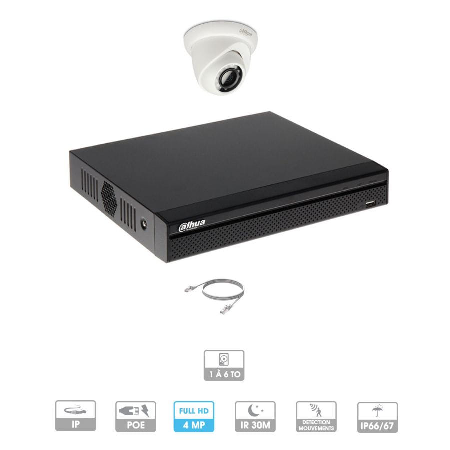 Kit vidéosurveillance 1 caméra | 4 MP | IP PoE | 1 câble RJ45 20/30/40/50 mètres | 1 HDD 1 à 6 To | Dôme Dahua