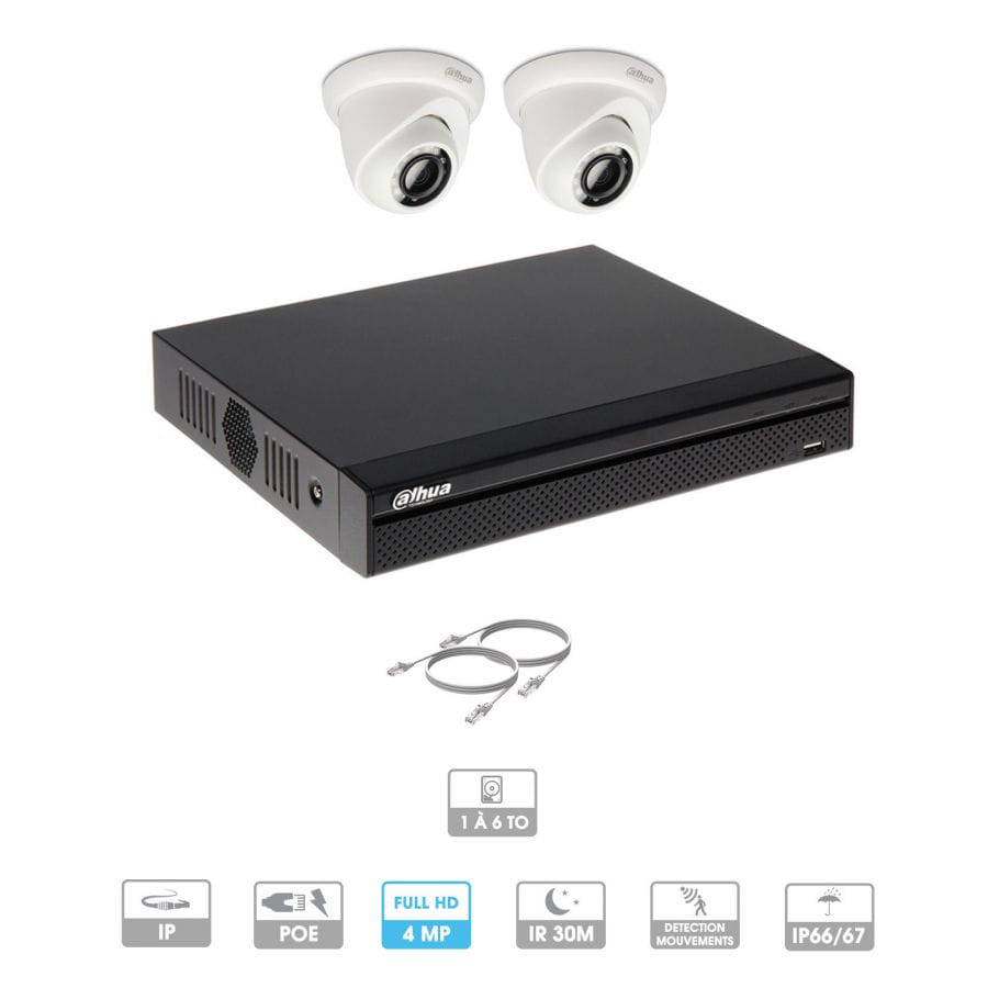 Kit vidéosurveillance 2 caméras | 4 MP | IP PoE | 2 câbles RJ45 20/30/40/50 mètres | 1 HDD 1 à 6 To | Dôme Dahua