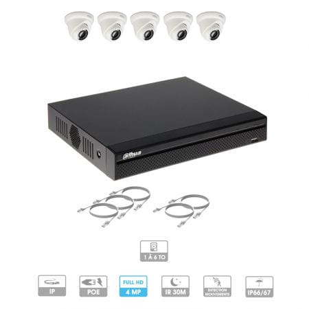 Kit vidéosurveillance 5 caméras | 4 MP | IP PoE | 5 câbles RJ45 20/30/40/50 mètres | 1 HDD 1 à 6 To | Dôme Dahua