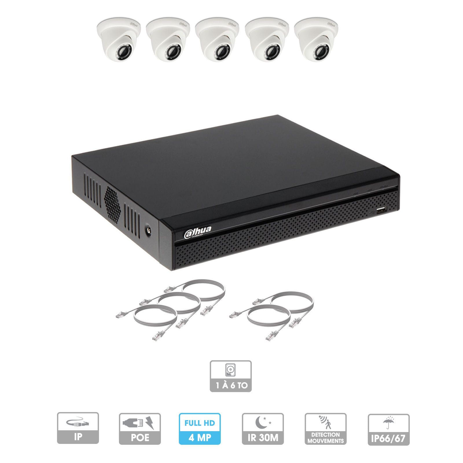Kit vidéosurveillance 5 caméras | 4 MP | IP PoE | 5 câbles RJ45 20/30/40/50 mètres | 1 HDD 1 à 6 To | Dôme Dahua