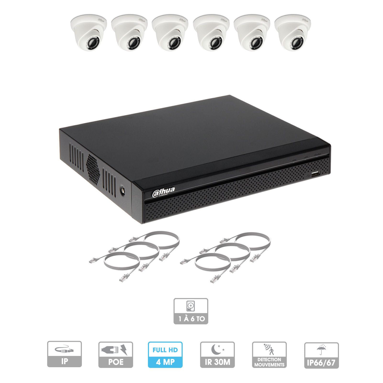 Kit vidéosurveillance 6 caméras | 2 MP | IP PoE | 6 câbles RJ45 20/30/40/50 mètres | 1 HDD 1 à 6 To | Dôme Dahua
