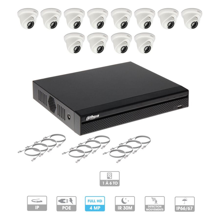 Kit vidéosurveillance 12 caméras | 4 MP | IP PoE | 12 câbles RJ45 20/30/40/50 mètres | 2 HDD 1 à 6 To | Dôme Dahua