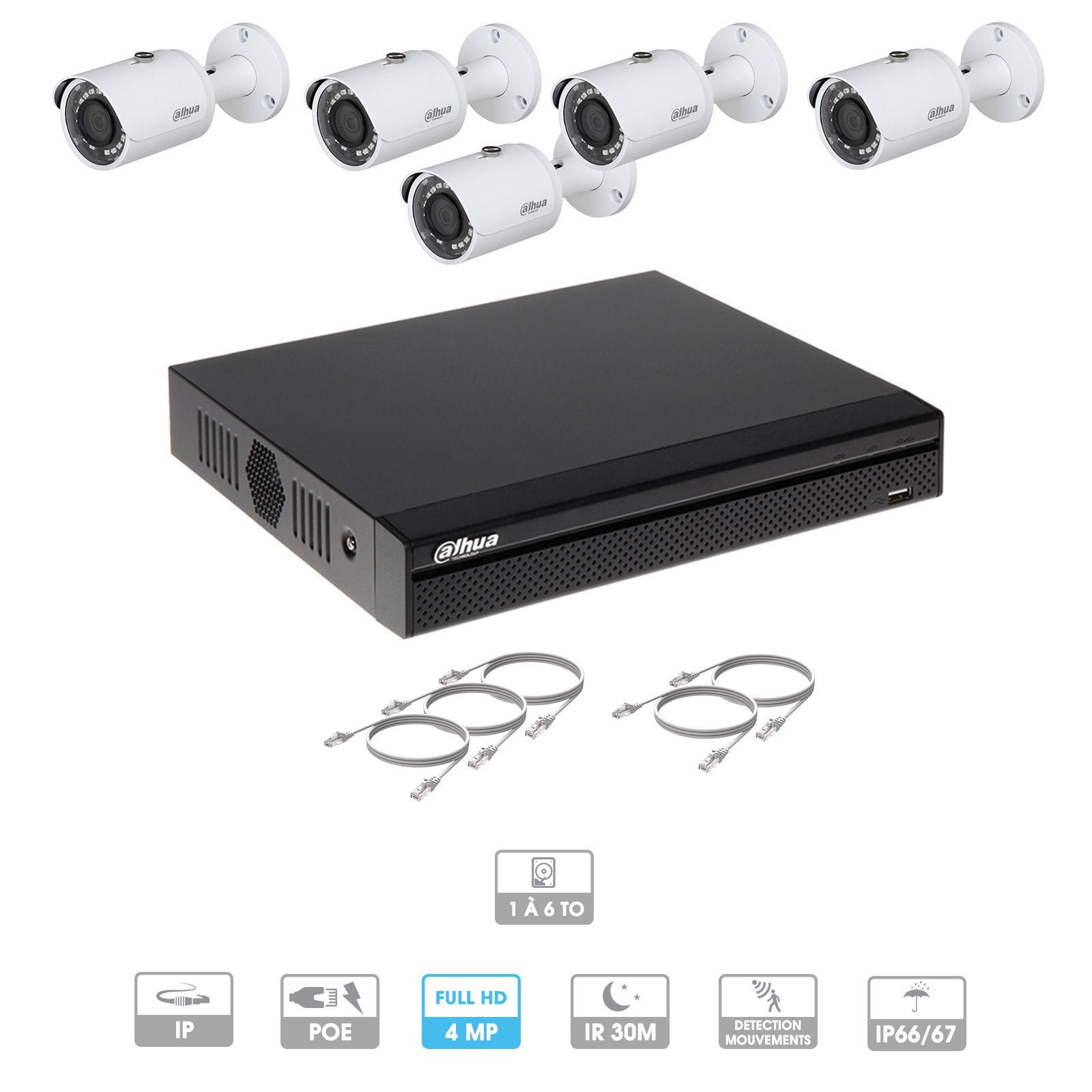 Kit vidéosurveillance 5 caméras | 4 MP | IP PoE | 5 câbles RJ45 20/30/40/50 mètres | 1 HDD 1 à 6 To | Tube Dahua