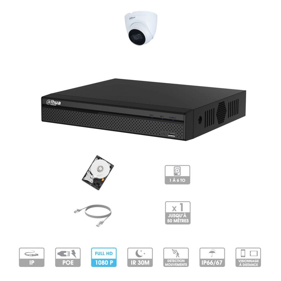 Kit vidéosurveillance 1 caméra | 2 MP | IP PoE | 1 câble RJ45 20/30/40/50 mètres | 1 HDD 1 à 6 To | Dôme Dahua