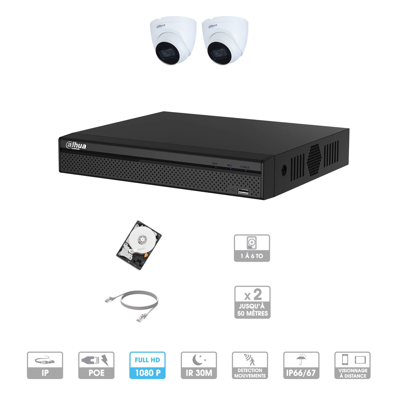 Kit vidéosurveillance 2 caméras | 2 MP | IP PoE | 2 câbles RJ45 20/30/40/50 mètres | 1 HDD 1 à 6 To | Dôme Dahua