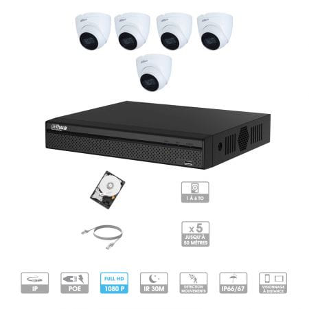 Kit vidéosurveillance 5 caméras | 2 MP | IP PoE | 5 câbles RJ45 20/30/40/50 mètres | 1 HDD 1 à 6 To | Dôme Dahua