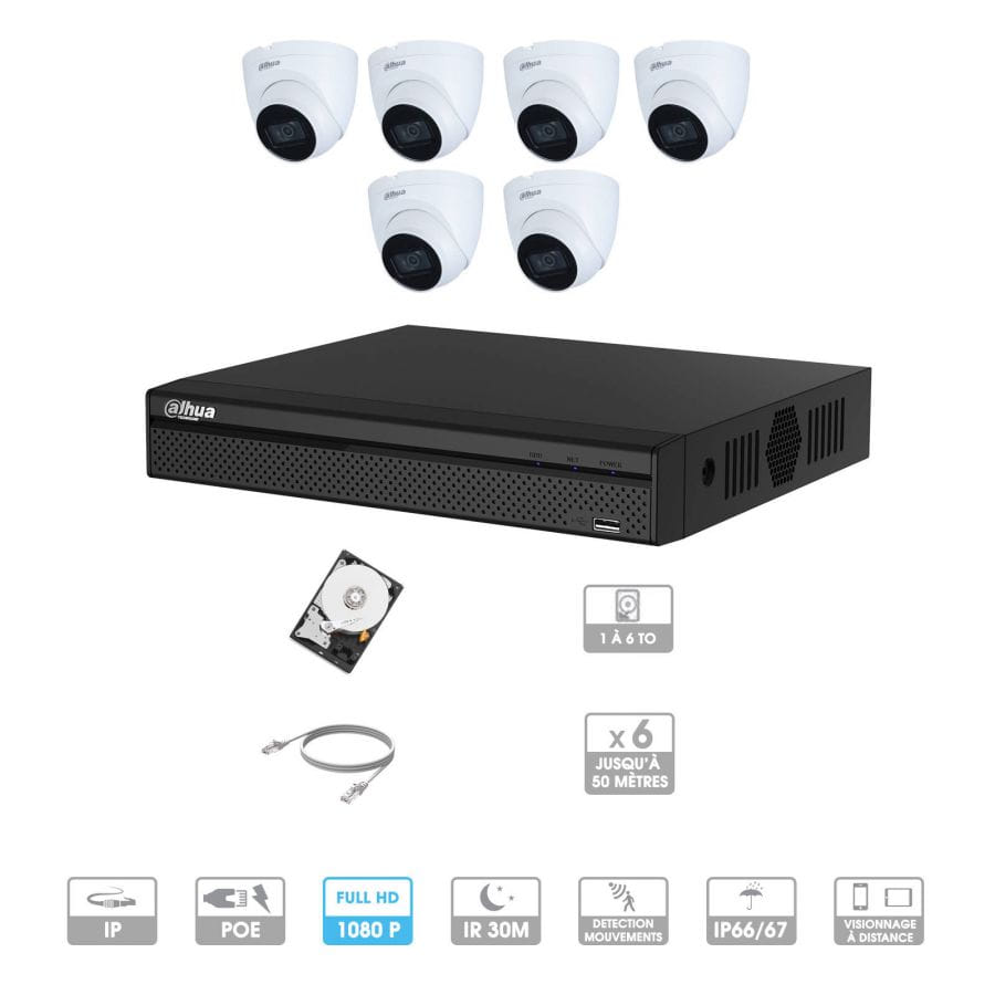 Kit vidéosurveillance 6 caméras | 2 MP | IP PoE | 6 câbles RJ45 20/30/40/50 mètres | 1 HDD 1 à 6 To | Dôme Dahua