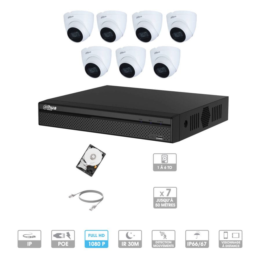 Kit vidéosurveillance 7 caméras | 2 MP | IP PoE | 7 câbles RJ45 20/30/40/50 mètres | 1 HDD 1 à 6 To | Dôme Dahua