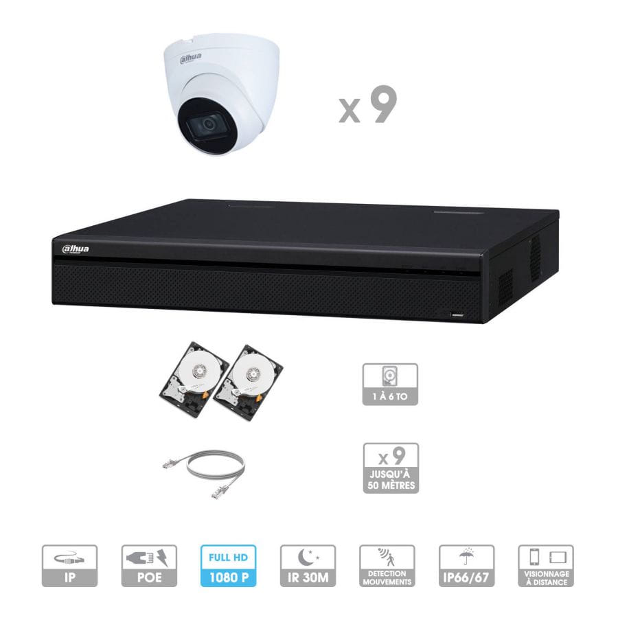 Kit vidéosurveillance 9 caméras | 2 MP | IP PoE | 9 câbles RJ45 20/30/40/50 mètres | 2 HDD 1 à 6 To | Dôme Dahua