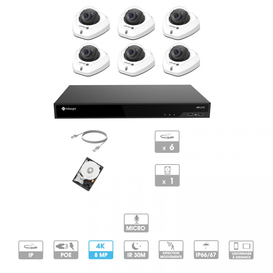 Kit vidéosurveillance 6 caméras | 4K | IP PoE | 6 câbles RJ45 20/30/40/50 mètres | HDD 1 à 6 To | Dôme Milesight