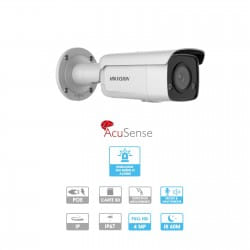 Caméra Hikvision | Tube | IP | 4 MP | Micro et haut-parleur | Alarme sonore et visuelle
