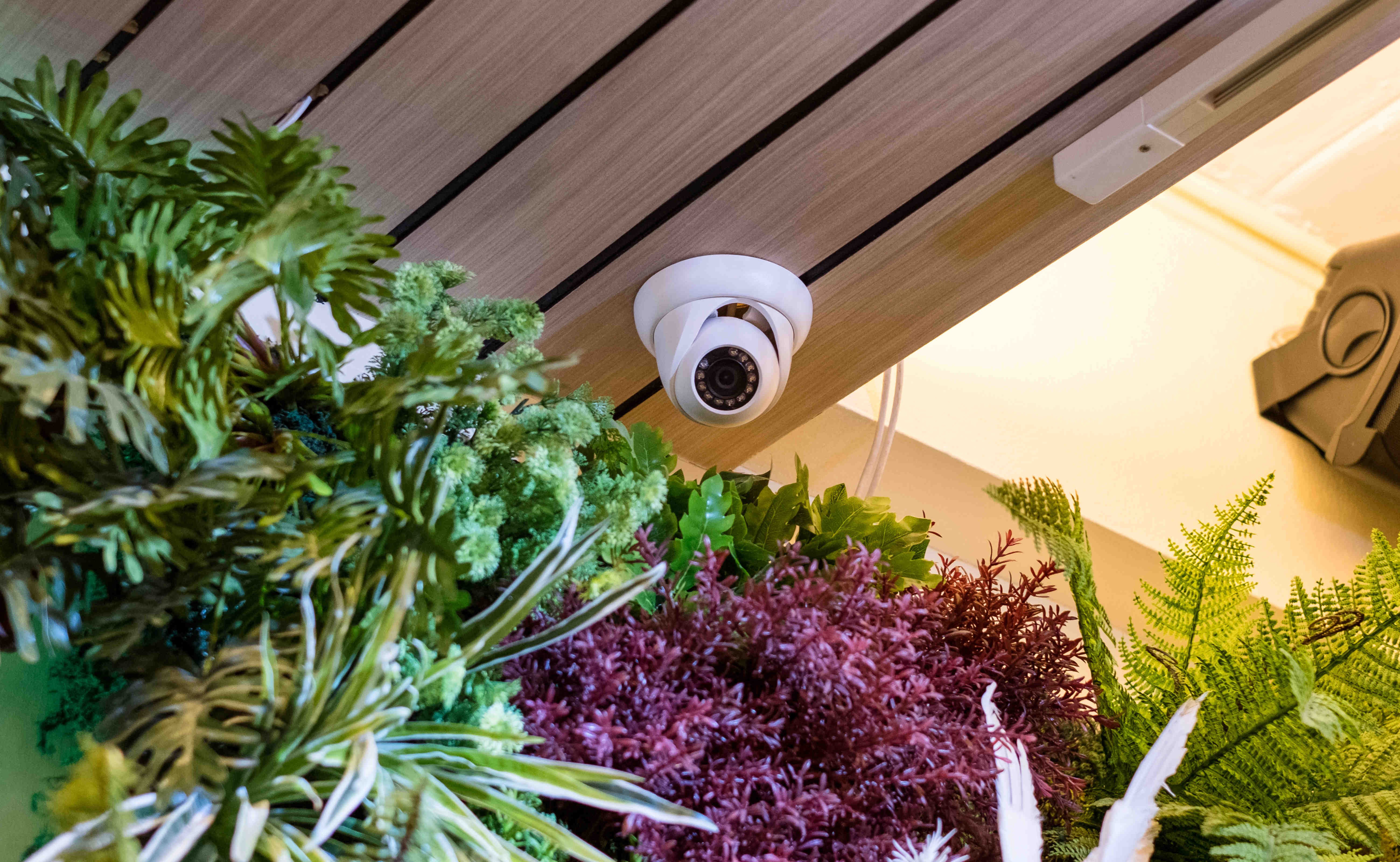 Comment choisir le meilleur emplacement pour installer vos caméras de surveillance et maximiser l'efficacité de votre système de sécurité ?